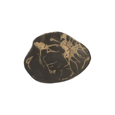 Phillips Collection Cast Petrified Wood Wall Tile - Resin I