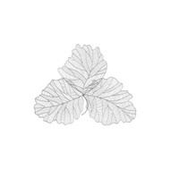 Phillips Collection Tri Leaf Wall Art - Large - Metal - Silver - Black