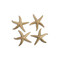 Phillips Collection Starfish - Gold Leaf - Set of 4 - MD