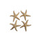 Phillips Collection Starfish - Gold Leaf - Set of 4 - LG