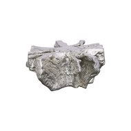 Phillips Collection Asterisk Cast Root Coffee Table - Silver Leaf