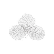 Phillips Collection Tri Leaf Wall Art - Medium - Metal - Silver - Black