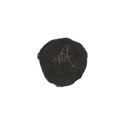 Phillips Collection Cast Petrified Wood Wall Tile - Resin IV