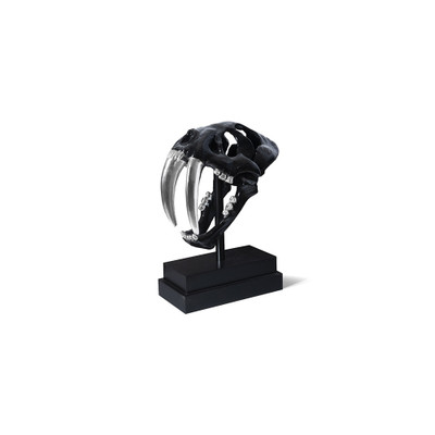 Phillips Collection Saber Tooth Tiger Skull - Black