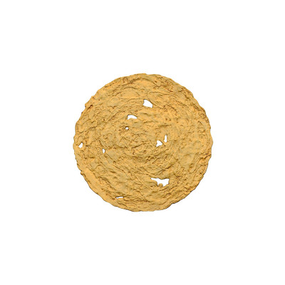 Phillips Collection Molten Wall Disc - Medium - Gold Leaf
