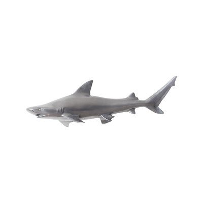 Phillips Collection Black Tip Reef Shark - Polished Aluminum