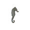 Phillips Collection Seahorse Wall Art - LG