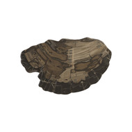 Phillips Collection Cast Petrified Wood Wall Tile - Resin V