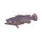 Phillips Collection Estuary Cod Fish Wall Sculpture - Resin - Copper Patina Finish