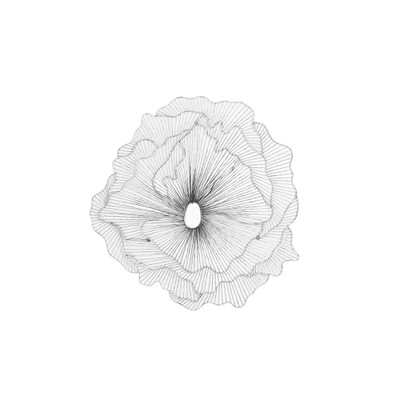 Phillips Collection Poppy Flower Wall Art - Silver - Black - LG