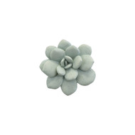 Phillips Collection Laui Succulent Wall Art - Sage