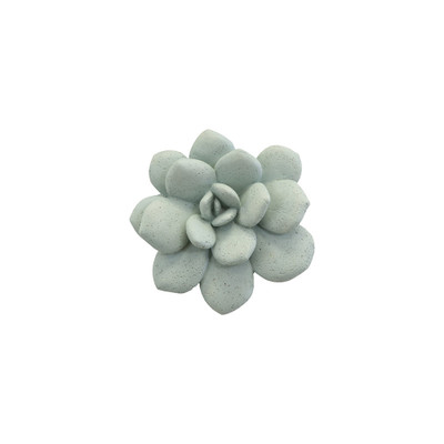 Phillips Collection Laui Succulent Wall Art - Sage