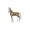 Phillips Collection Mustang Horse Woodland Sculpture - Standing