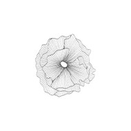 Phillips Collection Poppy Flower Wall Art - Silver - Black - SM