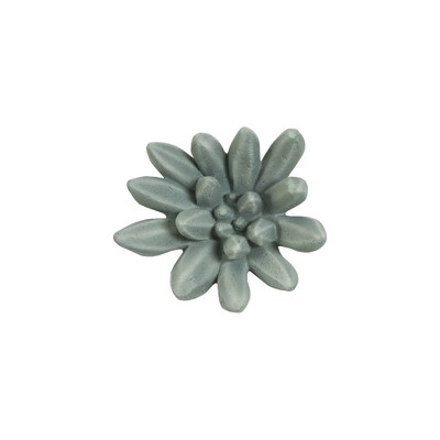 Phillips Collection Compactum Succulent Wall Art - Forest