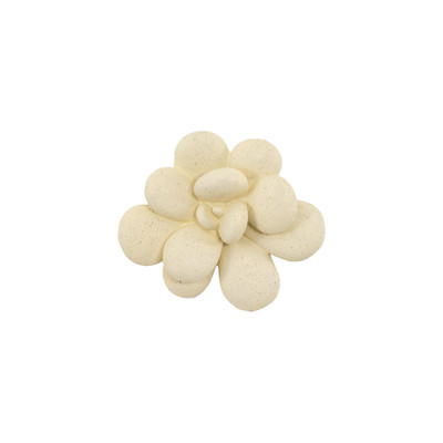 Phillips Collection Oviferum Succulent Wall Art - Chartreuse