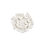 Phillips Collection Topsy Turvy Succulent Wall Art - White Stone