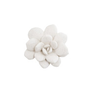 Phillips Collection Laui Succulent Wall Art - White Stone