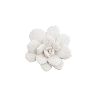 Phillips Collection Laui Succulent Wall Art - White Stone