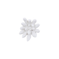 Phillips Collection Compactum Succulent Wall Art - White Stone