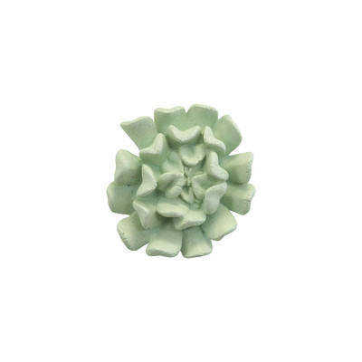 Phillips Collection Topsy Turvy Succulent Wall Art - Jade