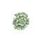 Phillips Collection Topsy Turvy Succulent Wall Art - Jade