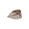 Phillips Collection Birch Leaf Wall Art - Copper - SM
