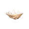 Phillips Collection Cast Clam Shell Bowl - Faux Finish - SM