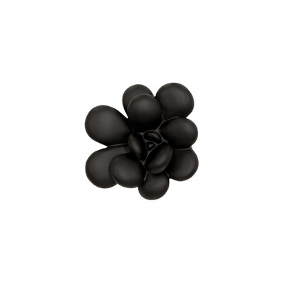 Phillips Collection Oviferum Succulent Wall Art - Smooth Matte Black