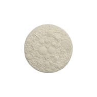 Phillips Collection Coral Reef Wall Art - Round