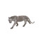 Phillips Collection Panther Pipe Sculpture - Walking - Stainless Steel - Small