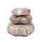 Four Hands Petrified Wood Organic Sculpture - Set Of 3 - Light Petrified Wood