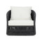 Four Hands Porto Outdoor Swivel Chair - Arashi Salt