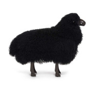 Interlude Home Theo Baby Sheep