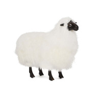 Interlude Home Lucie Baby Sheep