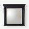 Global Views Josephine Mirror - Blackened Oak