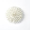 Global Views Urchin - White - Lg