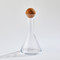 Studio A Chemistry Triangle Decanter w - Cork Stopper