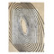 Studio A Concentric Circles Rug - Fawn - 8 x 10