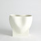 Studio A Orpheus Low Bowl - Ivory