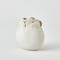Studio A Sand Dollar Vase - White - Sm