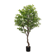 Four Hands Faux Aralia Tree - 6'