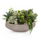 John Richard Amsterdam Succulents