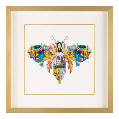John Richard Amy Shaw's Fantasy World Collection: Bee