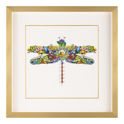 John Richard Amy Shaw's Fantasy World Collection: Dragonfly