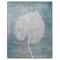 John Richard Belle Poesia's Transparent Botanicals I