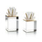 John Richard Brass and Selenite Cluster on Crystal - Set of 2
