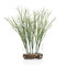 John Richard Cactus Succulent