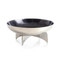 John Richard Carina Bowl - Small