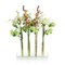 John Richard Changing Florals 1